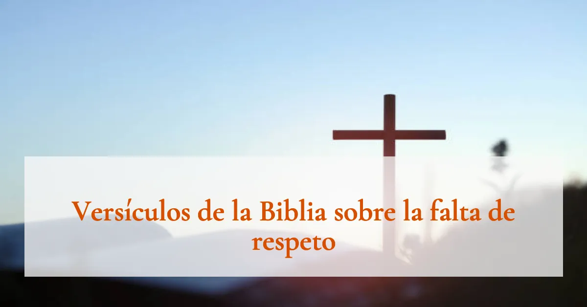 Versículos de la Biblia sobre la falta de respeto
