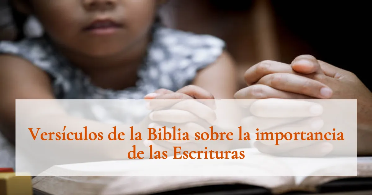 Versículos de la Biblia sobre la importancia de las Escrituras