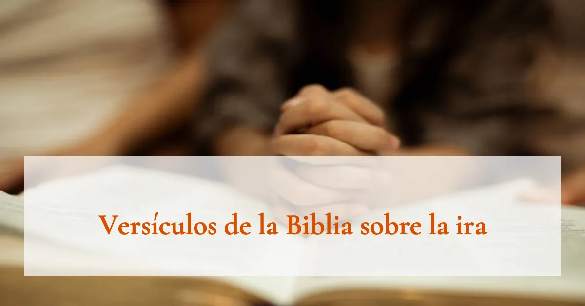 Versículos de la Biblia sobre la ira