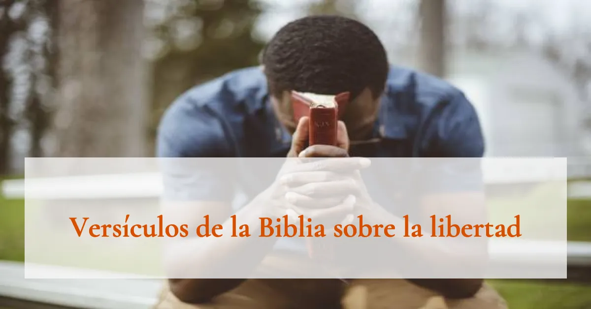 Versículos de la Biblia sobre la libertad
