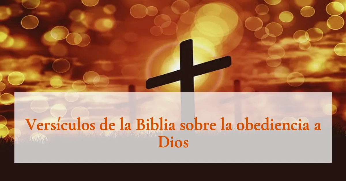 Versículos de la Biblia sobre la obediencia a Dios