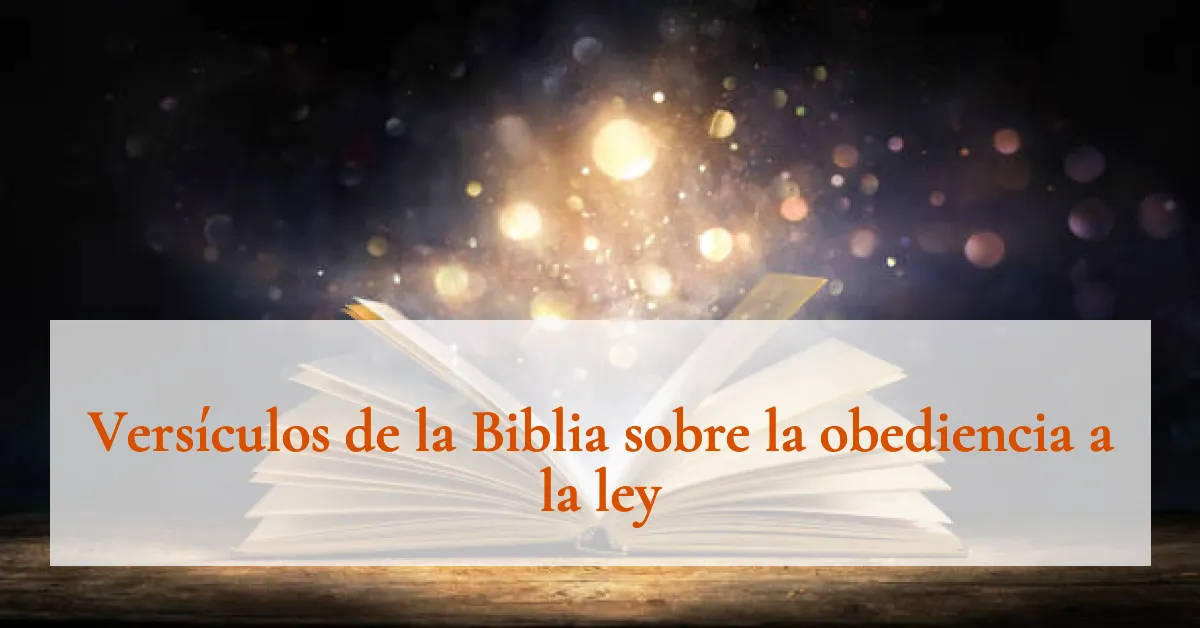 Versículos de la Biblia sobre la obediencia a la ley