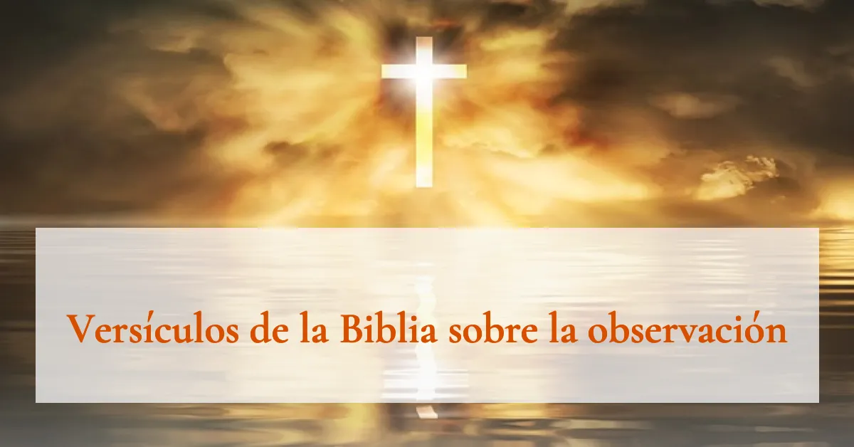 Versículos de la Biblia sobre la observación
