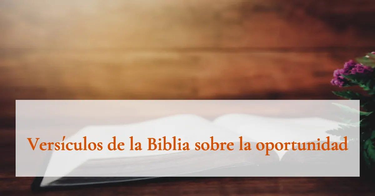 Versículos de la Biblia sobre la oportunidad