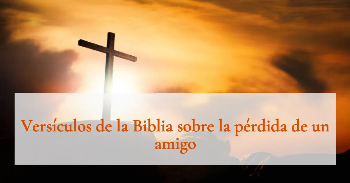 Versículos de la Biblia sobre la pérdida de un amigo