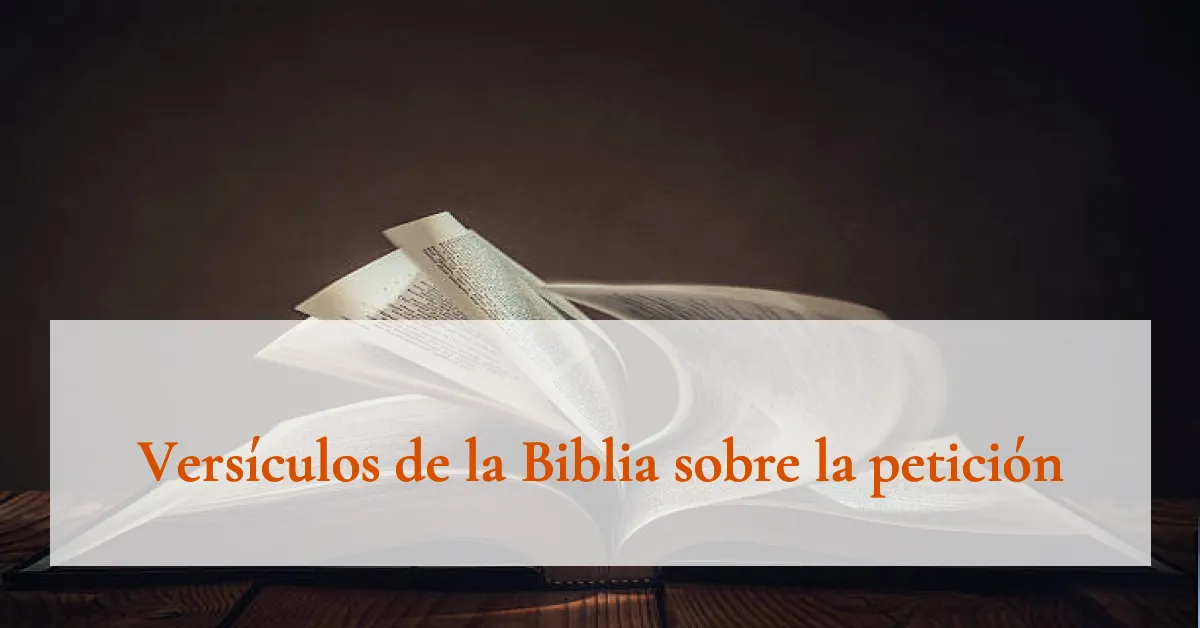 Versículos de la Biblia sobre la petición