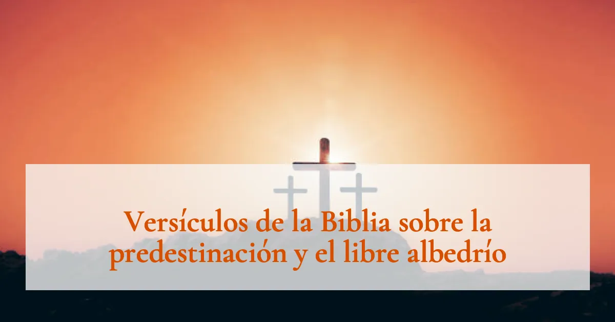 Versículos de la Biblia sobre la predestinación y el libre albedrío