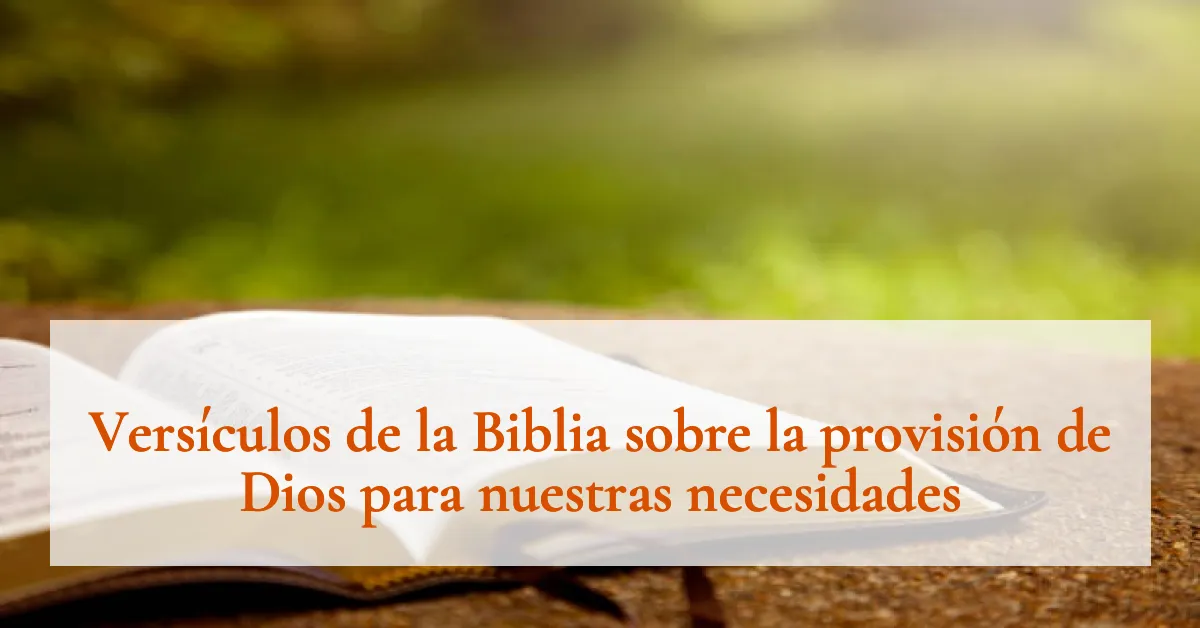 Versículos de la Biblia sobre la provisión de Dios para nuestras necesidades