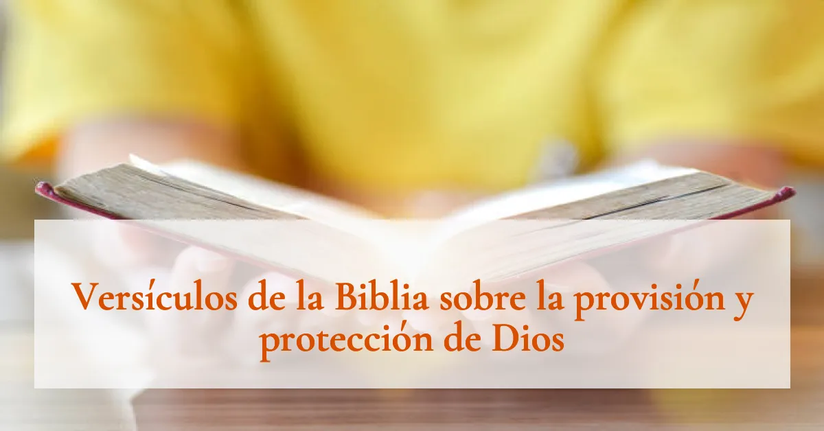 Versículos de la Biblia sobre la provisión y protección de Dios