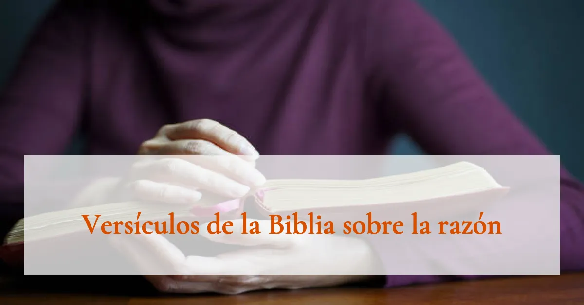 Versículos de la Biblia sobre la razón