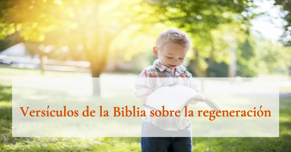 Versículos de la Biblia sobre la regeneración
