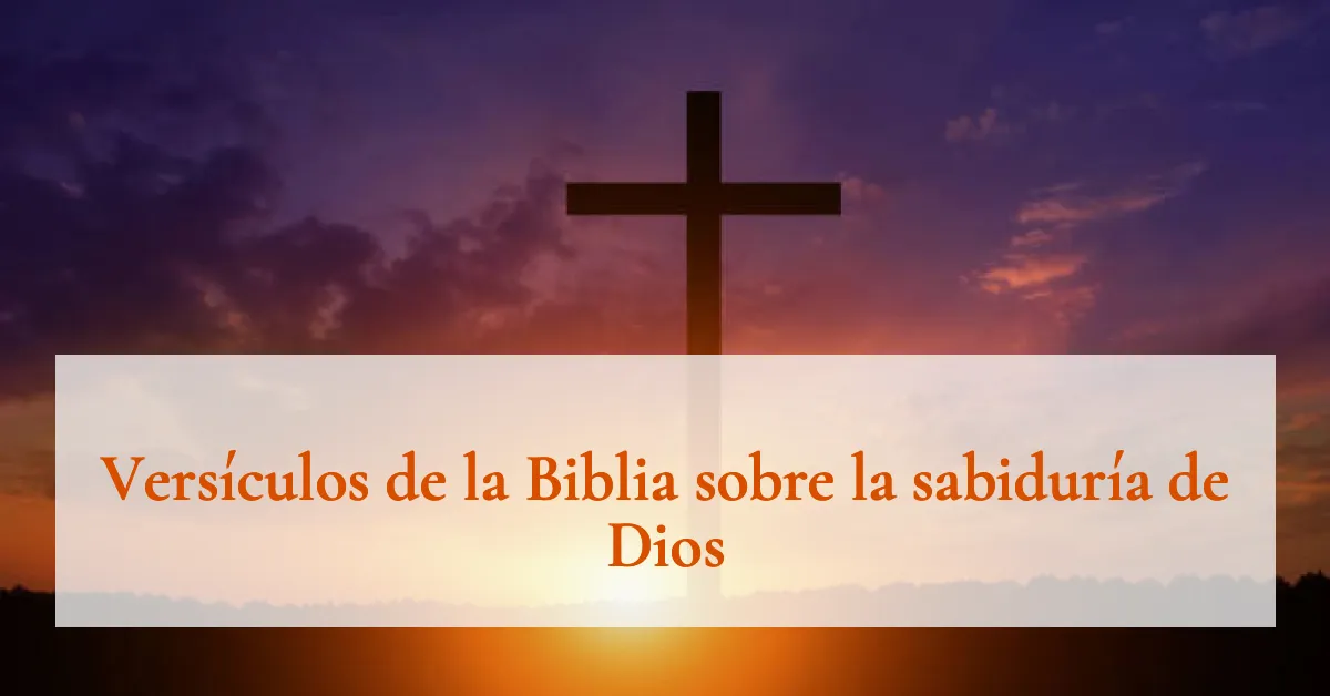 Versículos de la Biblia sobre la sabiduría de Dios