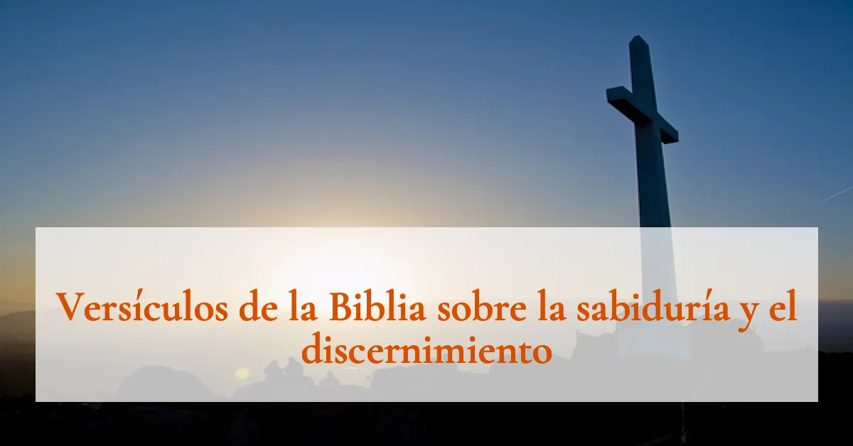 Versículos de la Biblia sobre la sabiduría y el discernimiento