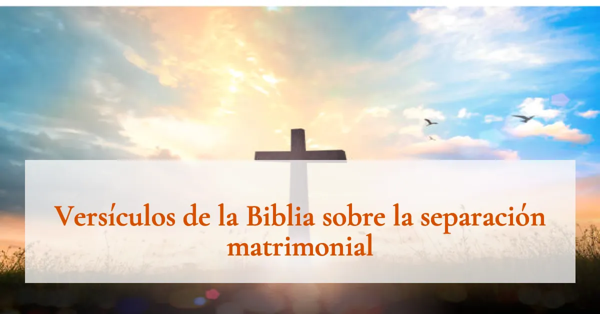 Versículos de la Biblia sobre la separación matrimonial