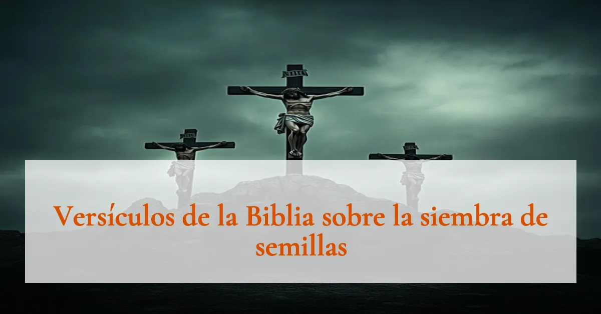 Versículos de la Biblia sobre la siembra de semillas
