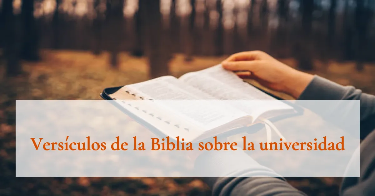 Versículos de la Biblia sobre la universidad