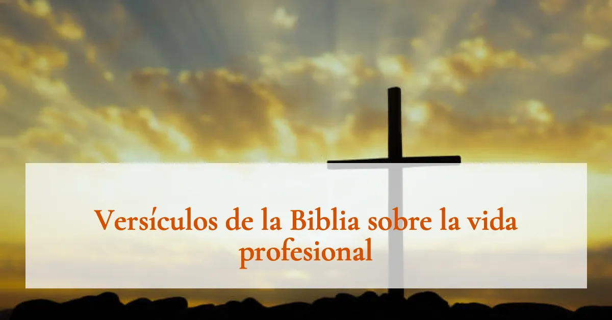 Versículos de la Biblia sobre la vida profesional