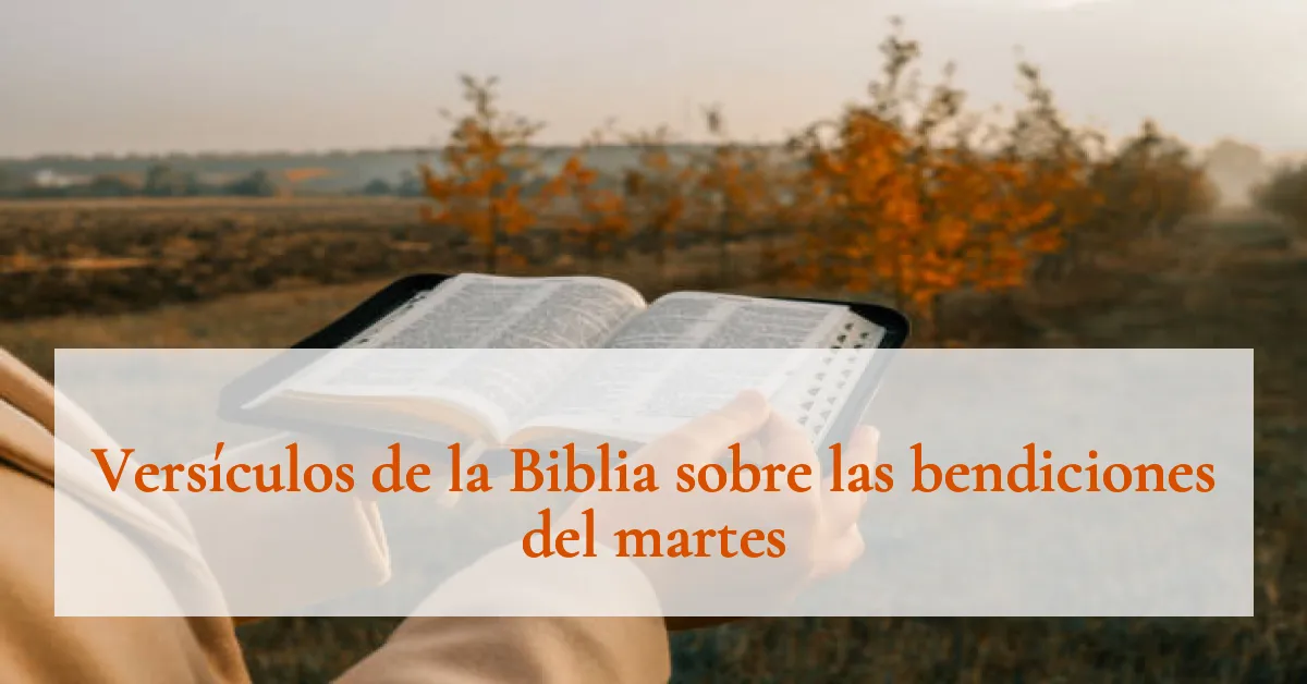 Versículos de la Biblia sobre las bendiciones del martes