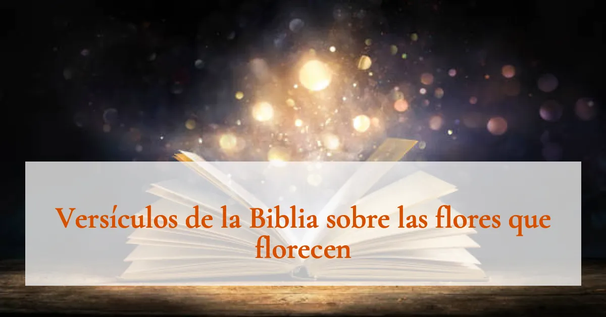 Versículos de la Biblia sobre las flores que florecen