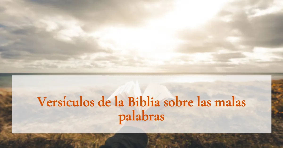 Versículos de la Biblia sobre las malas palabras