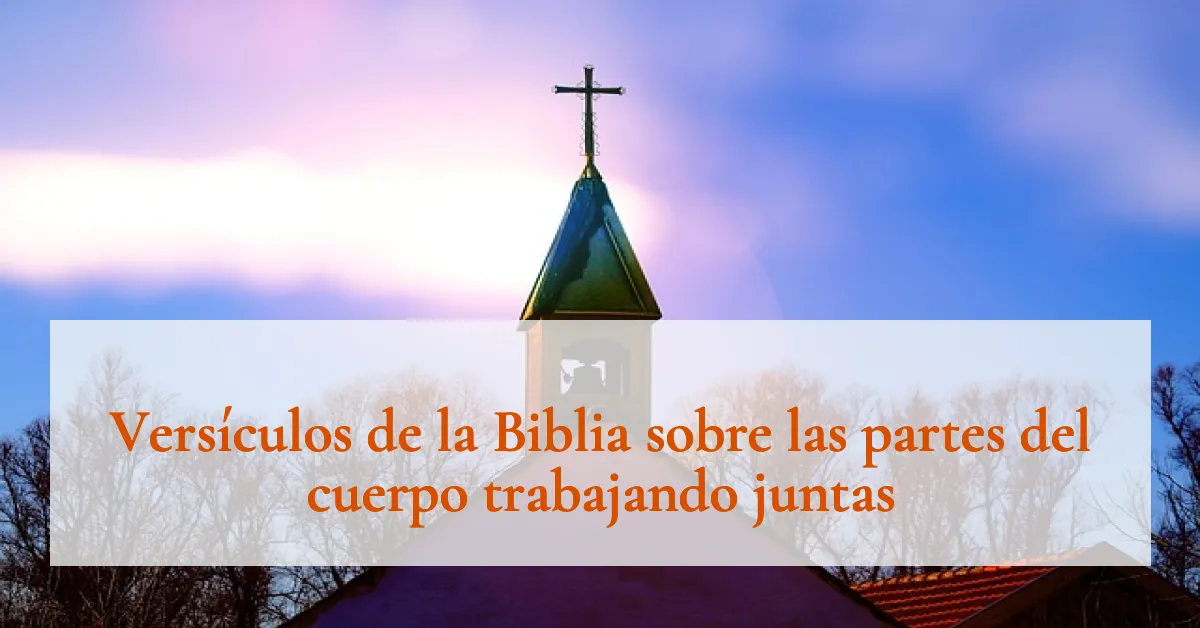 Versículos de la Biblia sobre las partes del cuerpo trabajando juntas