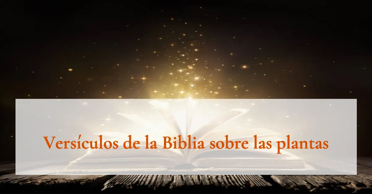 Versículos de la Biblia sobre las plantas