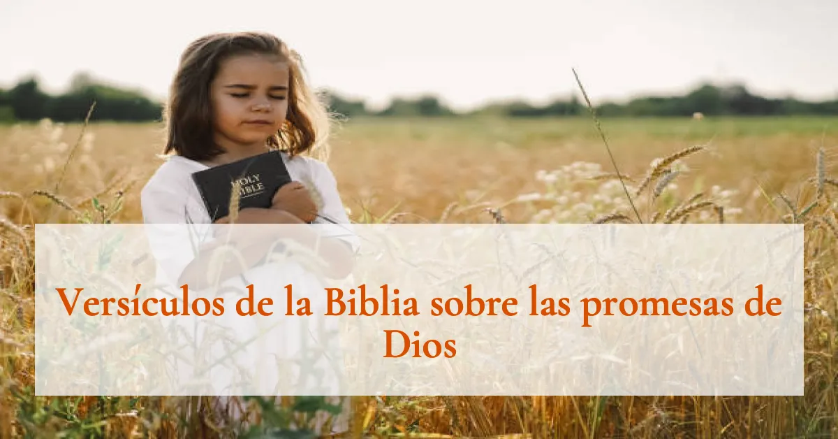 Versículos de la Biblia sobre las promesas de Dios
