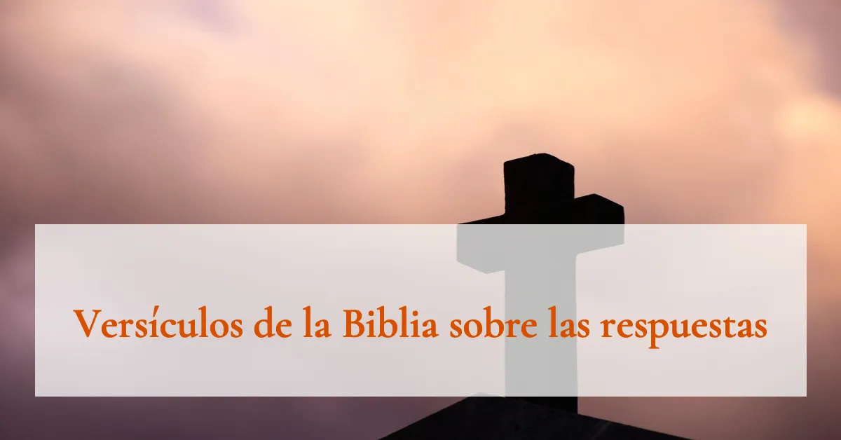Versículos de la Biblia sobre las respuestas