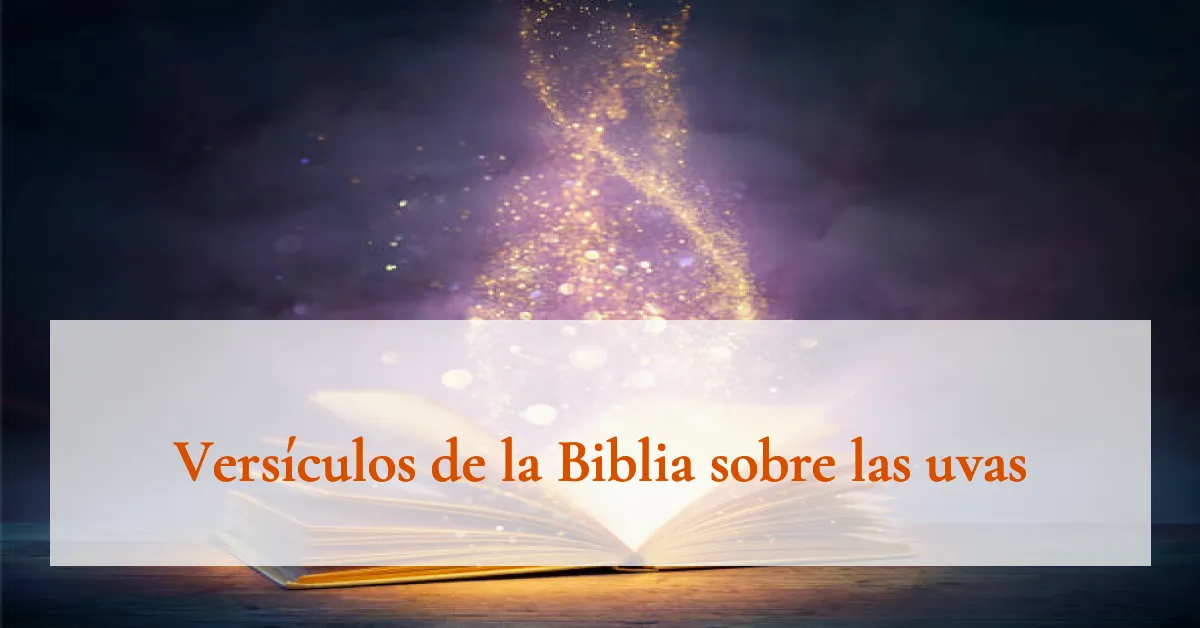 Versículos de la Biblia sobre las uvas