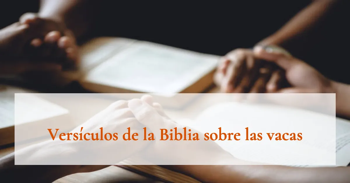 Versículos de la Biblia sobre las vacas