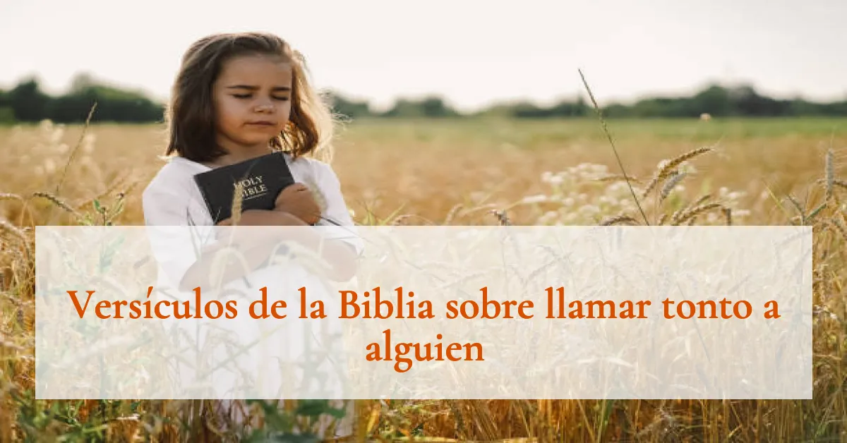 Versículos de la Biblia sobre llamar tonto a alguien