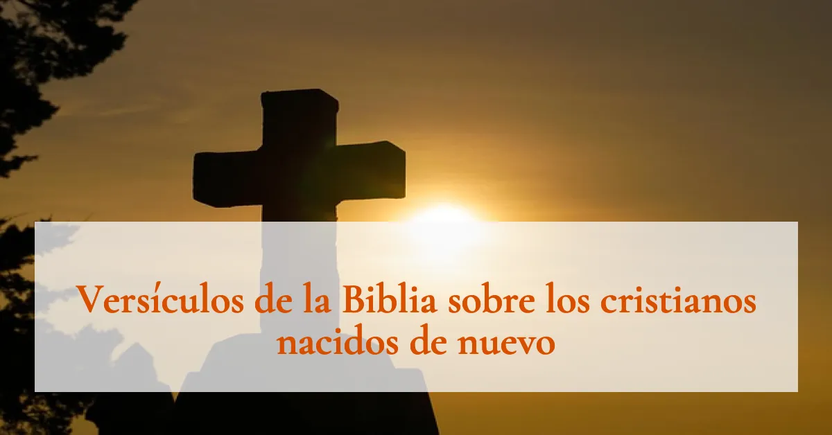 Versículos de la Biblia sobre los cristianos nacidos de nuevo