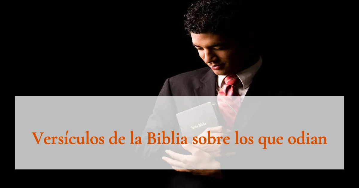 Versículos de la Biblia sobre los que odian