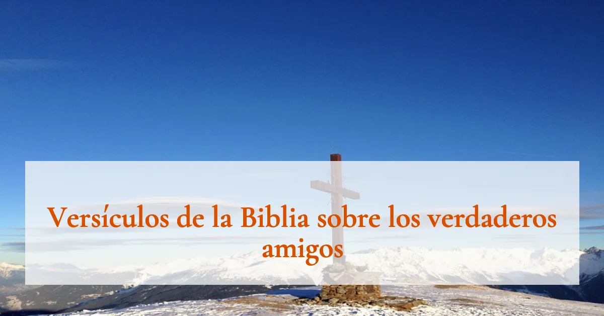 Versículos de la Biblia sobre los verdaderos amigos