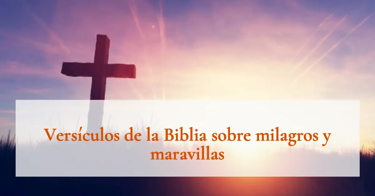 Versículos de la Biblia sobre milagros y maravillas
