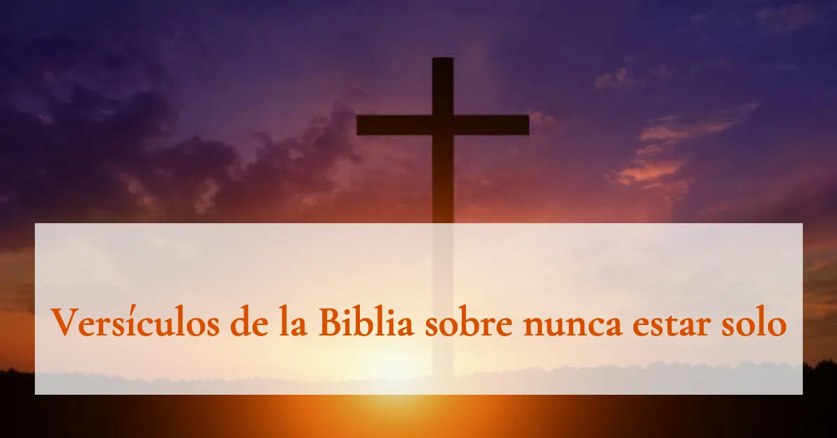 Versículos de la Biblia sobre nunca estar solo
