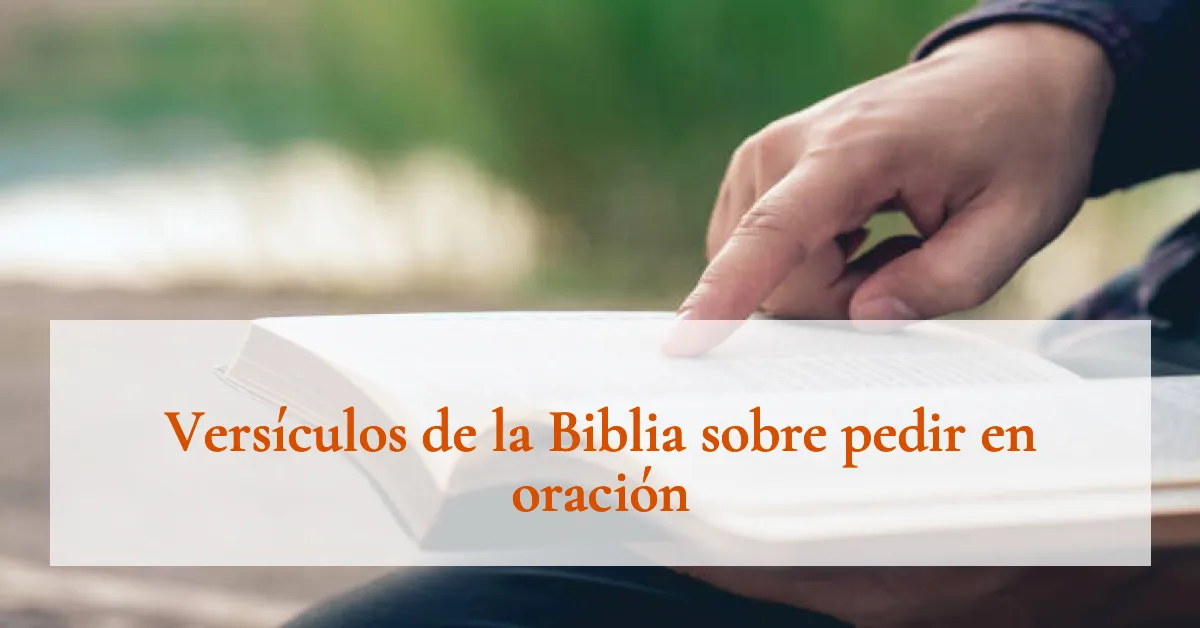 Versículos de la Biblia sobre pedir en oración