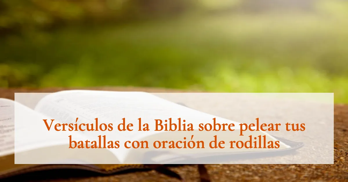 Versículos de la Biblia sobre pelear tus batallas con oración de rodillas