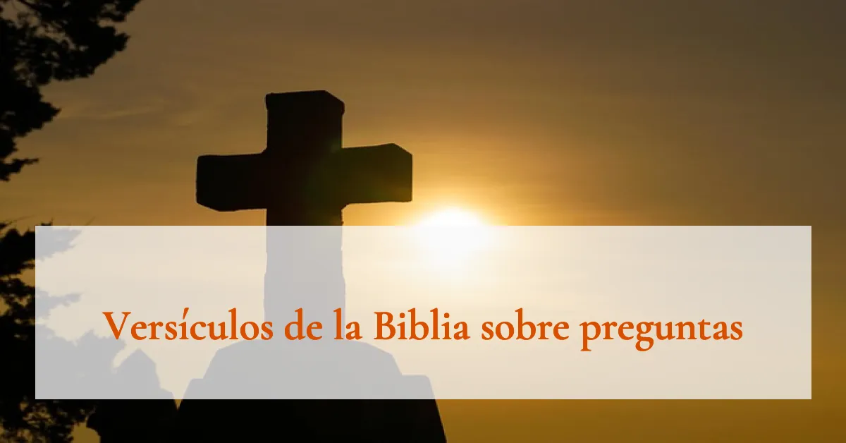 Versículos de la Biblia sobre preguntas