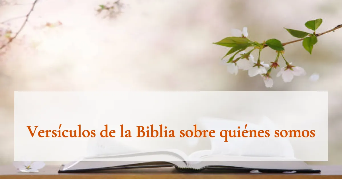 Versículos de la Biblia sobre quiénes somos
