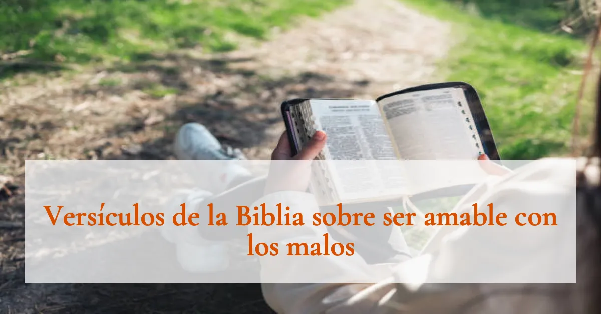 Versículos de la Biblia sobre ser amable con los malos
