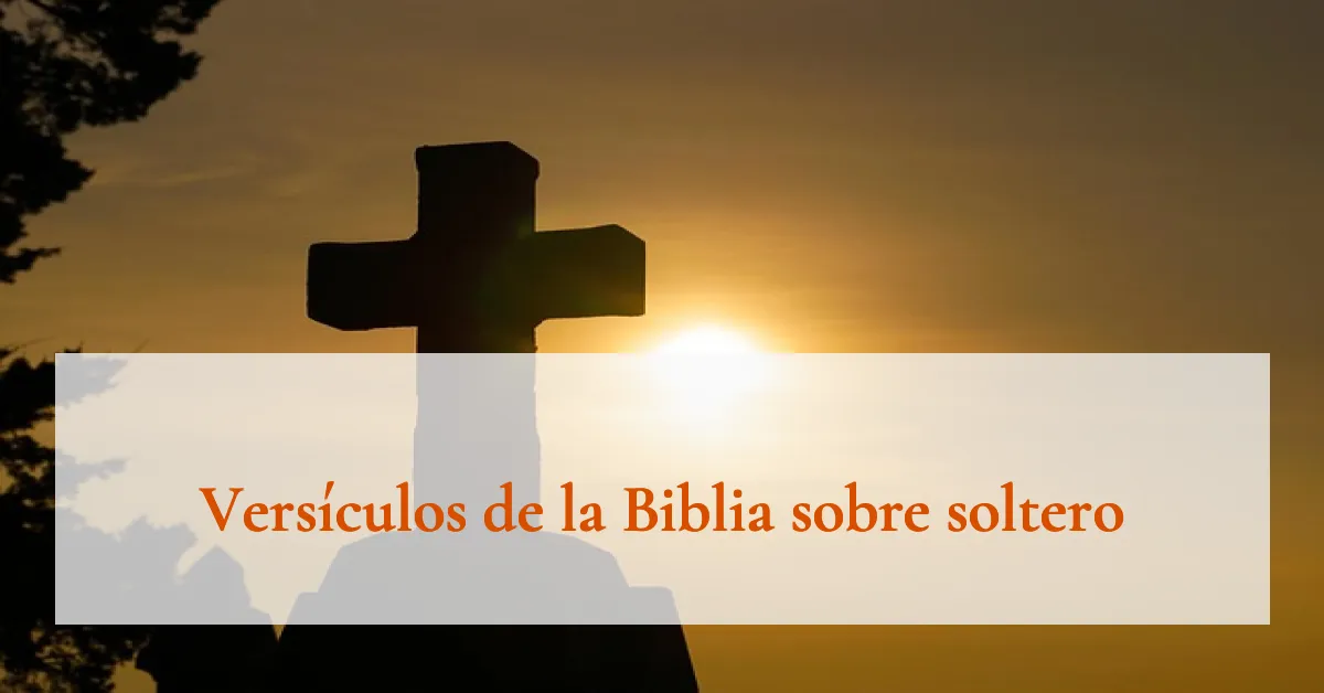 Versículos de la Biblia sobre soltero