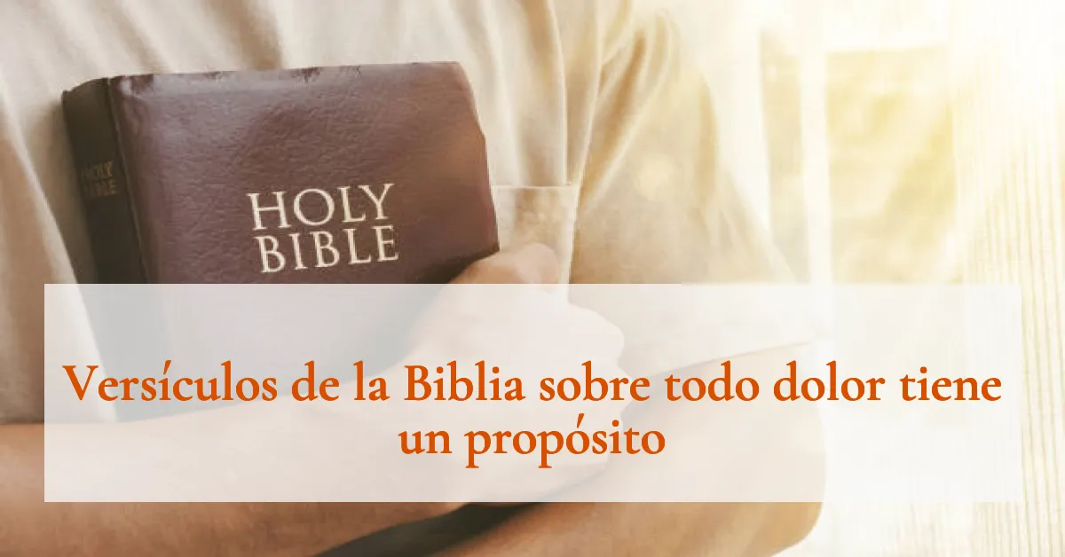 Versículos de la Biblia sobre todo dolor tiene un propósito