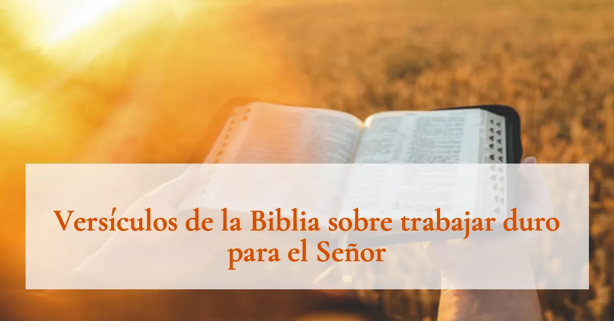 Versículos de la Biblia sobre trabajar duro para el Señor