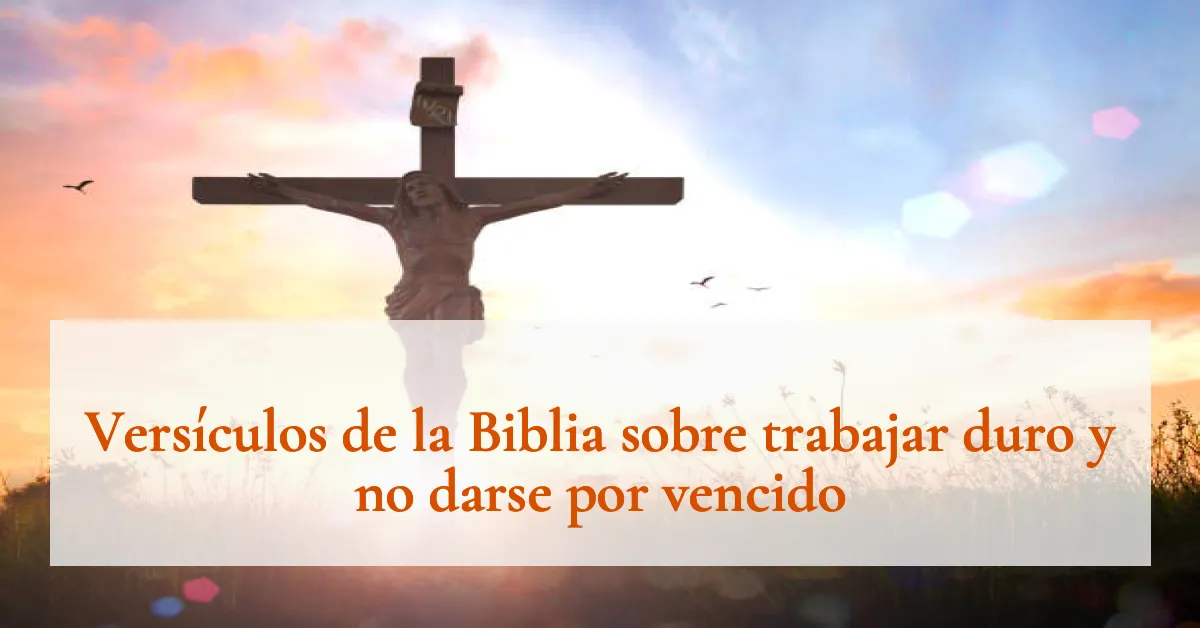 Versículos de la Biblia sobre trabajar duro y no darse por vencido