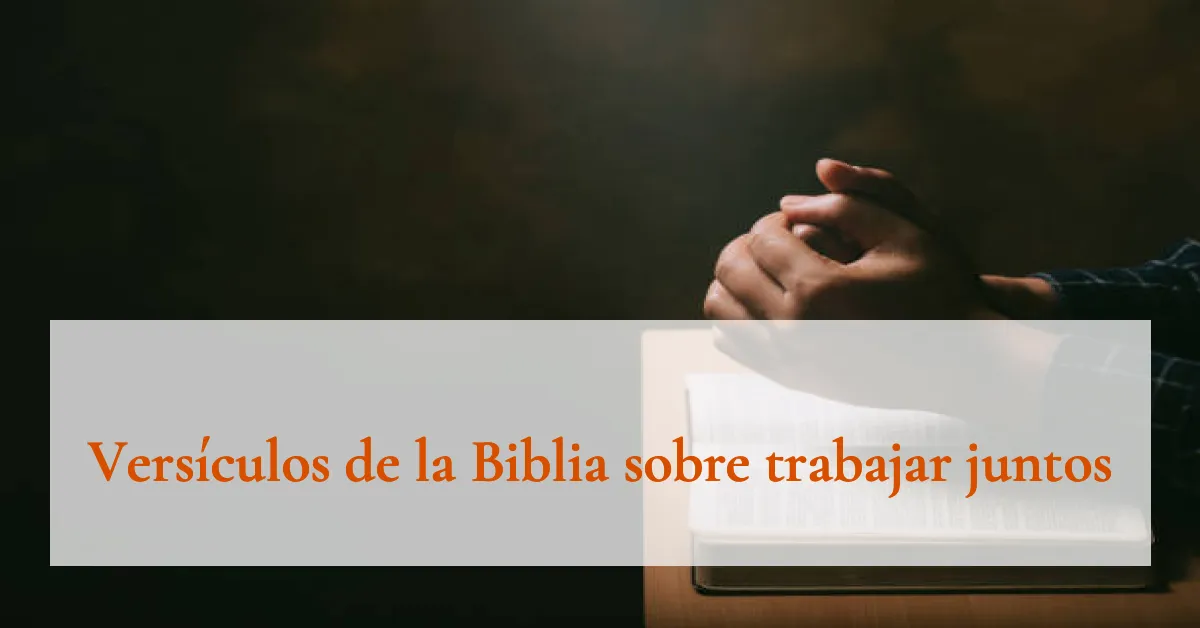 Versículos de la Biblia sobre trabajar juntos